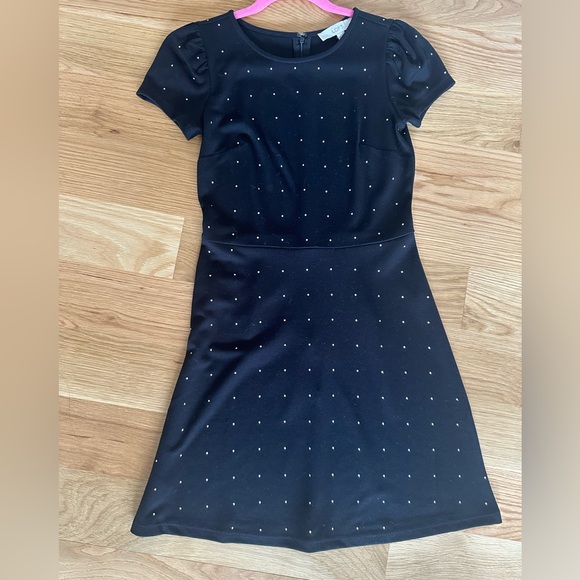 Loft Studded Flare Dress (00P) - Picture 5 of 5